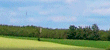 Magdeburger B&ouml;rde