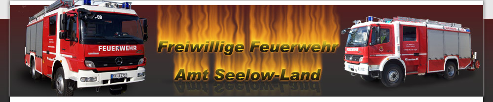 Feuerwehren Amt Seelow