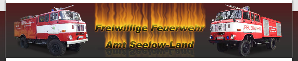 Feuerwehren Amt Seelow