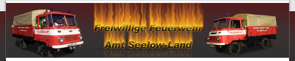 Feuerwehren Amt Seelow