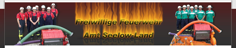 Feuerwehren Amt Seelow