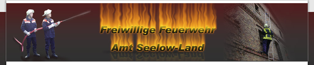 Feuerwehren Amt Seelow