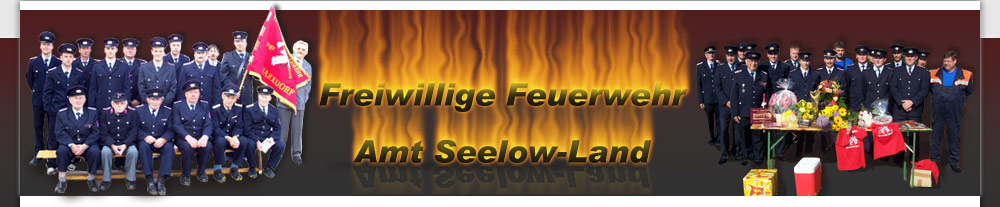 Feuerwehren Amt Seelow
