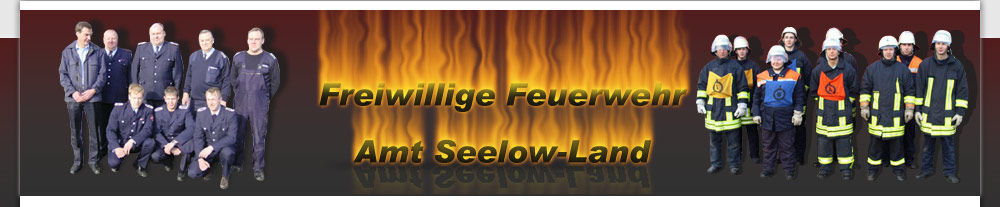 Feuerwehren Amt Seelow