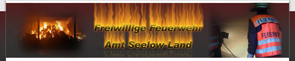Feuerwehren Amt Seelow