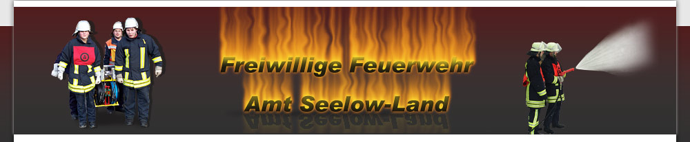 Feuerwehren Amt Seelow
