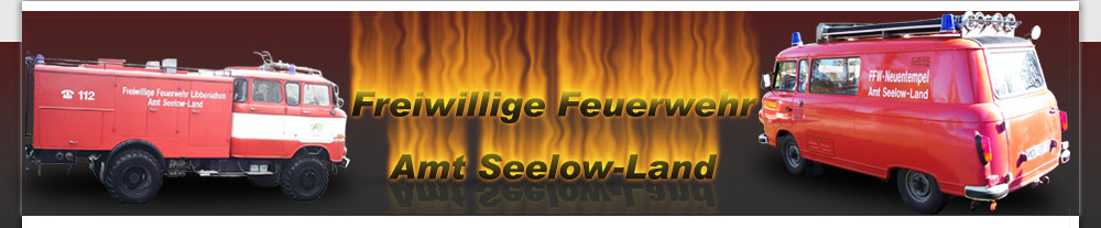Feuerwehren Amt Seelow