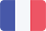 Icon französische Flagge