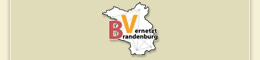 Brandenburg Vernetzt